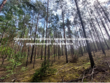 Ogłoszenie o możliwości zakupu lasów