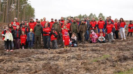 Odnowienia - razem sadzimy las